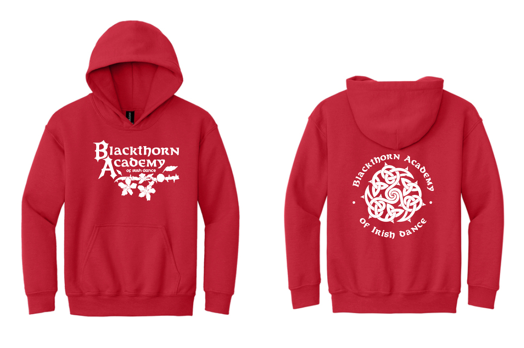 Youth Hoodie